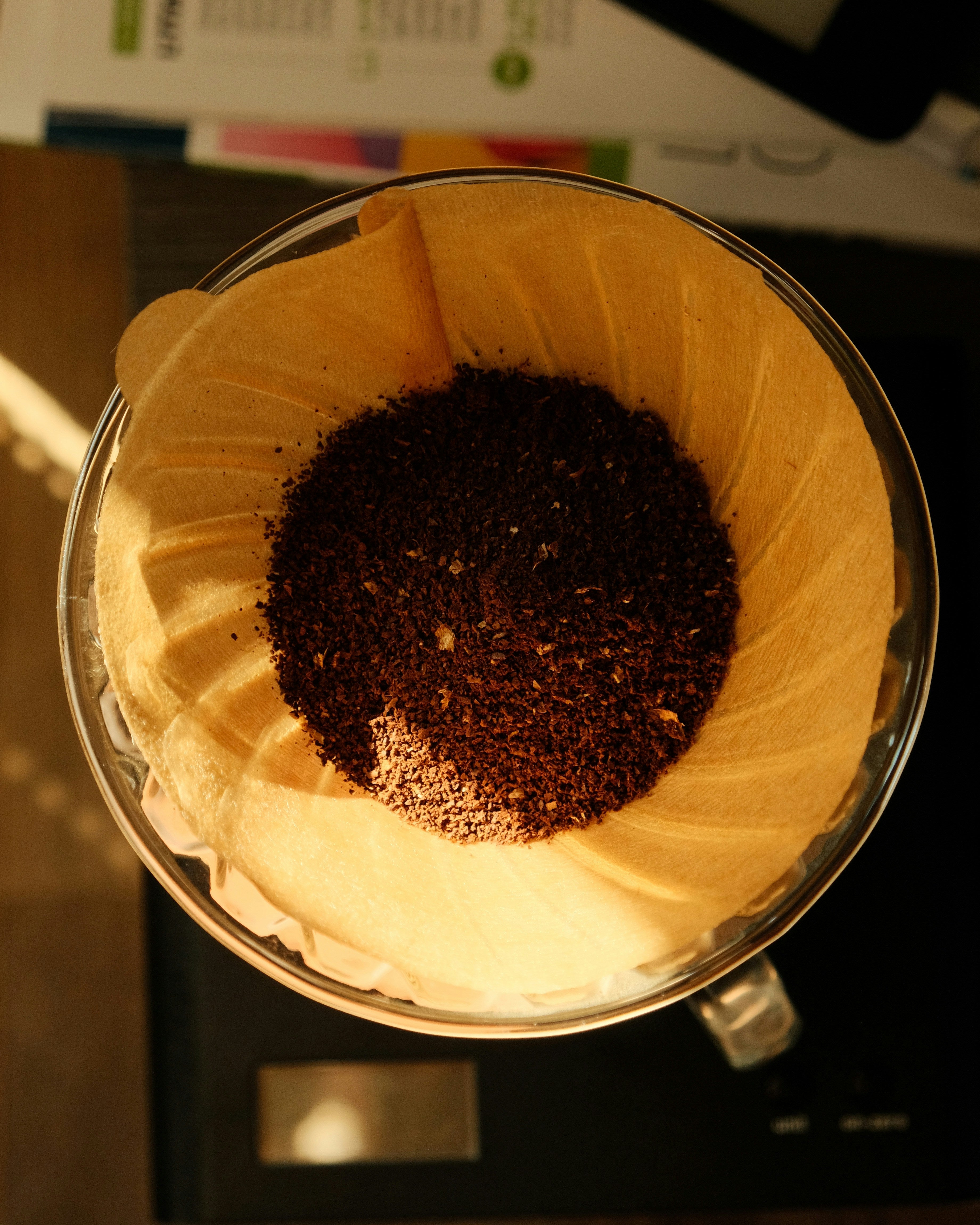 V60 Coffee grounds in filter, with golden sunlight